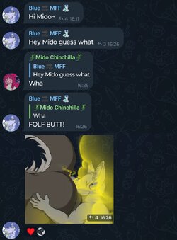 Scat leak message 6.jpg