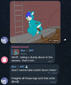 Scat leak message 8.jpg