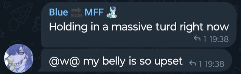 Scat Leak message 14.jpg