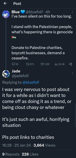 BlueFolf palestine.jpg
