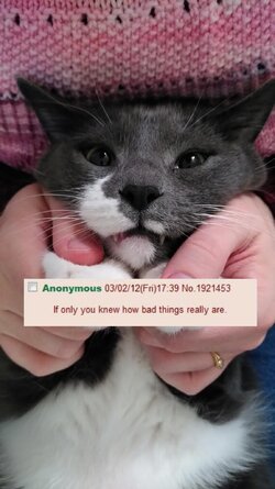 ff0d13b13d0c325e.jpg