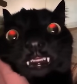 vmpr.png