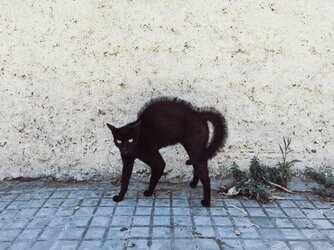 360_F_89028986_DE8rQoyRqDgrAkGoiJ3eYoyk78HltsAw.jpg