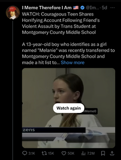 witness.png