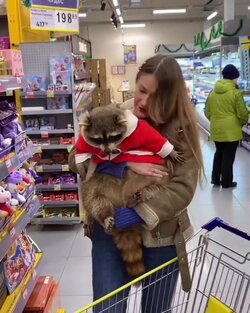 fat raccoon.jpg