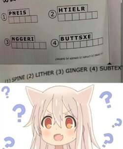 1713829516008572.jpg