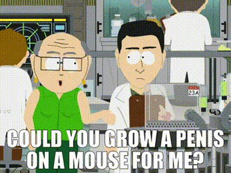 1000010135.gif