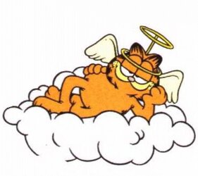 a01b14c9ebcce21915c2ec8b9b3642ec--garfield-quotes-garfield-pictures.jpg