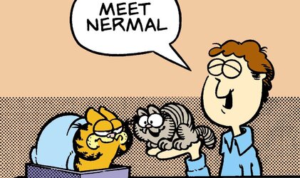 collection_image_1720958_Garfield_Nermal_201712141609-1867203694.jpg