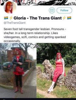 transgiantprofile.png