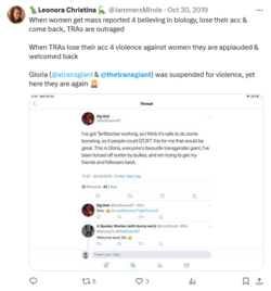 Screenshot 2024-04-26 at 21-09-41 thetransgiant - Search _ X.png