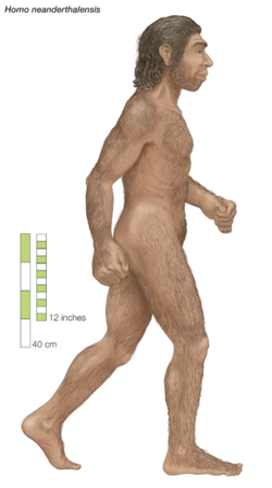 Missing Link.png