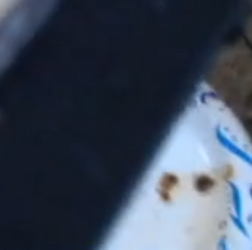 plate.png