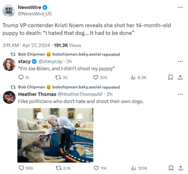 biden-dog.png