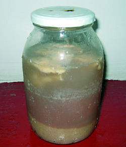 gross-jar-1413462767542.png
