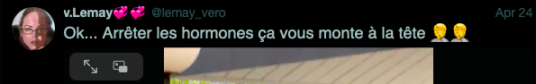 v.lemay.png