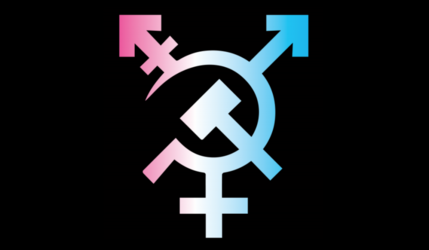 trans-hammer-sickle-958x559.png
