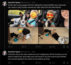 FireShot Capture 1394 - Posts with replies by Ava Kris Tyson (@kristyson_) _ X - twitter.com.png