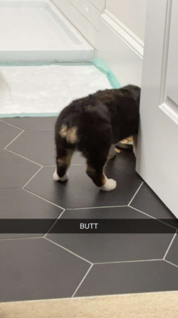 TPfpaIFq5vEgrX8VyXxYg.1023.IRZXS.png