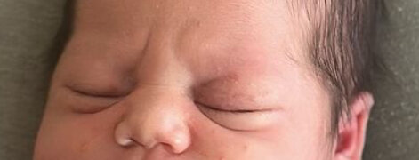 IMG_2501.jpeg