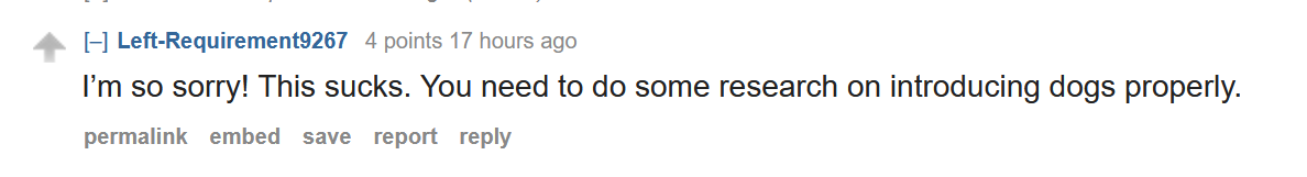 1714320173201.png