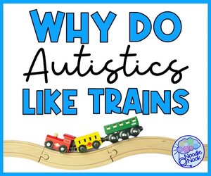 Why-to-Autistics-Life-Trains-Autism-Education.jpg