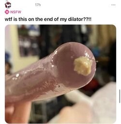 IMG_2199.jpeg