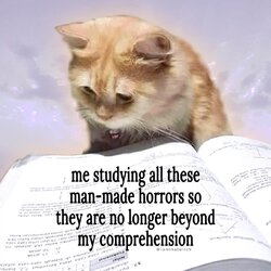 8e4 (1).jpg