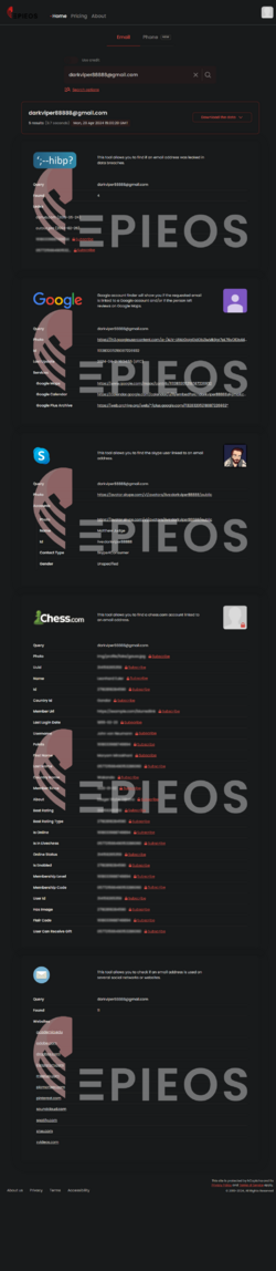 epieos.com__q=darkviper88888%40gmail.com&t=email (1).png