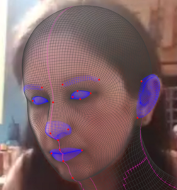 image (7).png