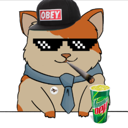 1714481383825 (1).png