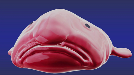 1714550992880.png