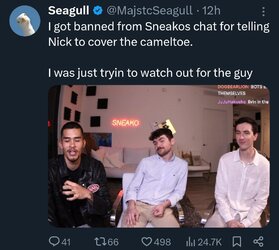 Seagull_nick_cameltoe_tweet.jpg