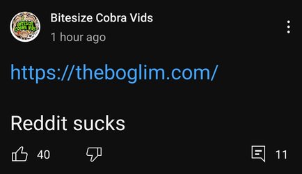Screenshot_20240501_154530_YouTube.jpg