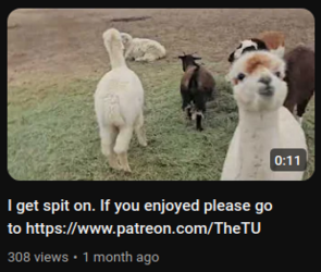 spit-on.png