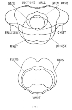 PuPCSDMJ0F_820.png