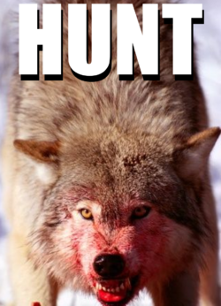 Summary.png Summary.png
