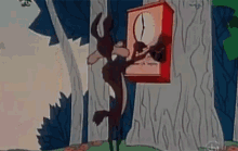 B8881562-798F-4194-AE63-977AFC3A082A.gif