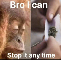 weed monkey.jpg