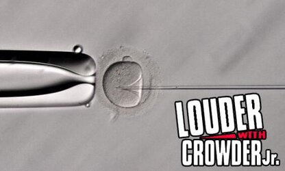 crow.jpg