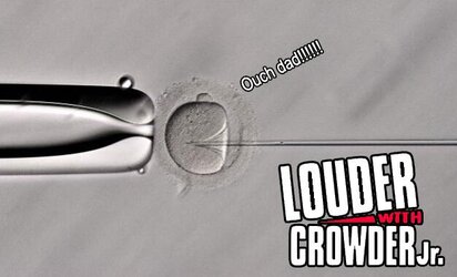 crow2.jpg