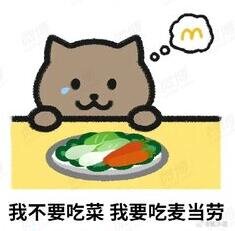 cat.jpg