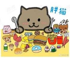 catfat.jpg
