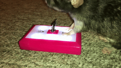 5906963-e0133cdf50897f66822f5ad7cbf4292d.gif