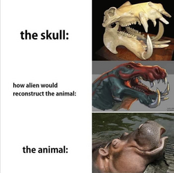 1714746477131.png