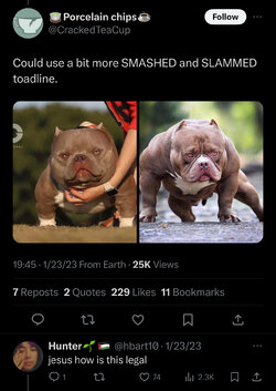IMG_6814.jpeg