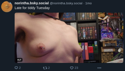 nsfw2.png