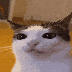 crongch.gif