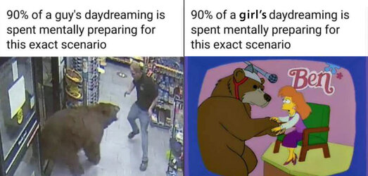 bear attack dreama.jpg