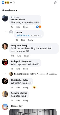 Screenshot_20240505_112924_Facebook.jpg
